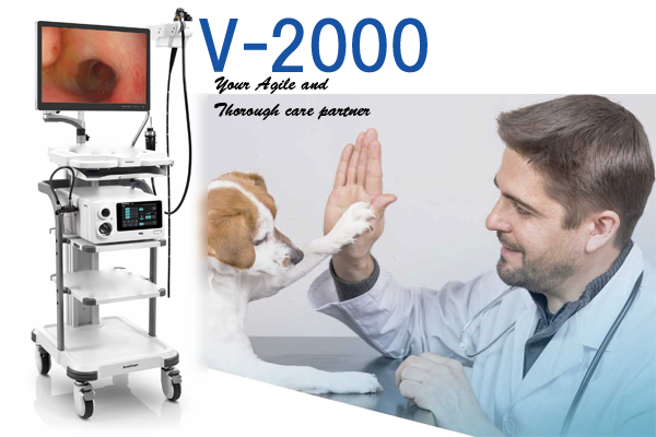 Vシリーズフレキシブル内視鏡　＆　光源ビデオシステムセンター　V-2000